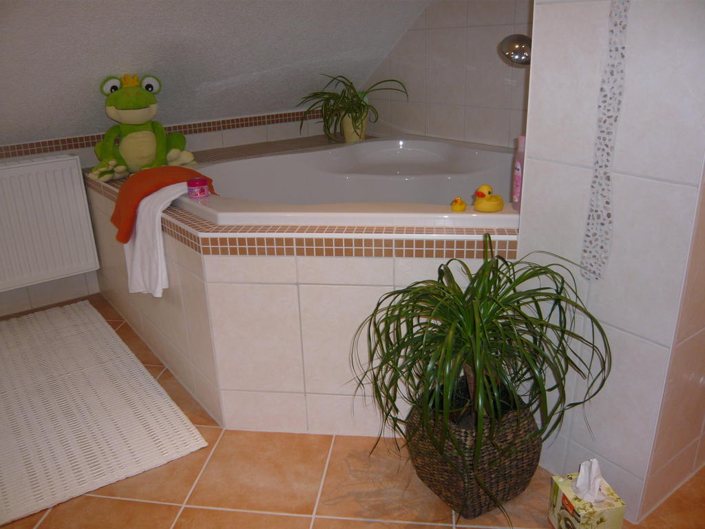 Pummpaelzhof Apartment Bad Salzungen Ruang foto